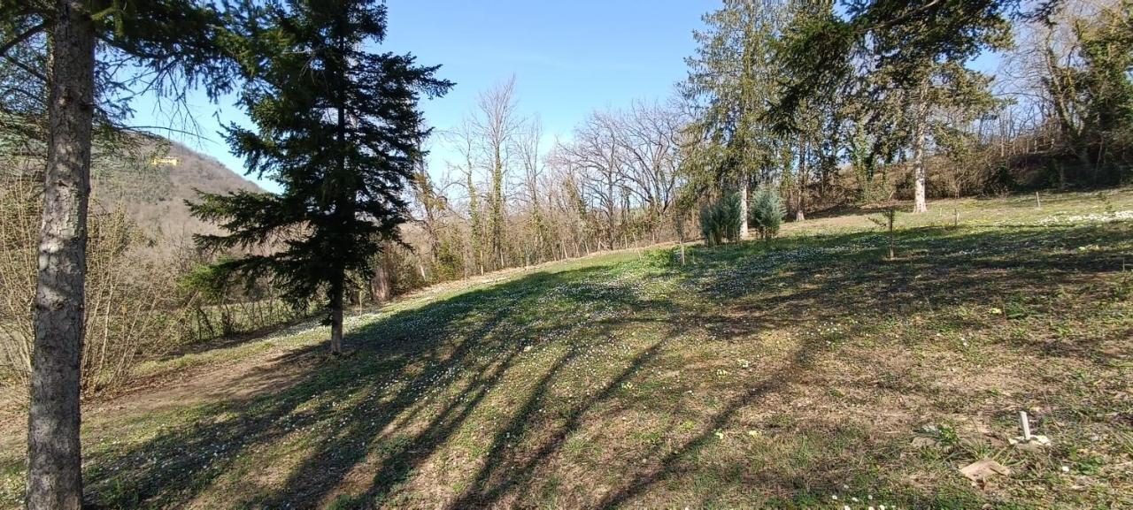 Casale La Pineta Apartment Mombaroccio Luaran gambar