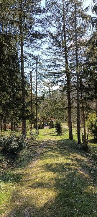 Casale La Pineta Apartment Mombaroccio Luaran gambar