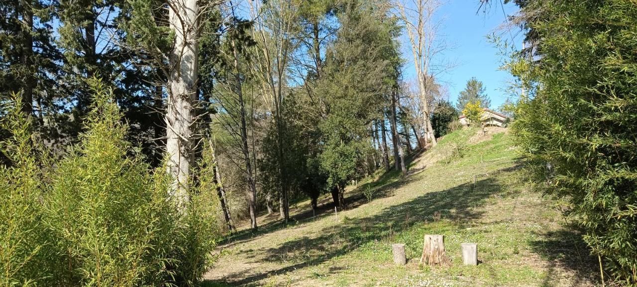 Casale La Pineta Apartment Mombaroccio Luaran gambar