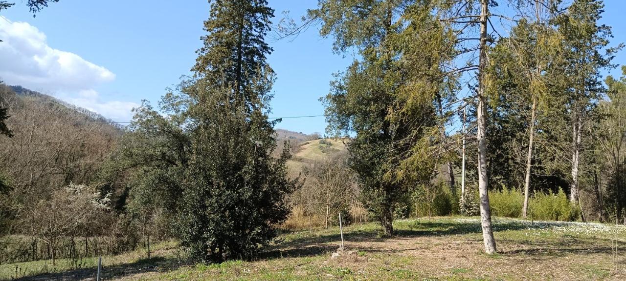 Casale La Pineta Apartment Mombaroccio Luaran gambar